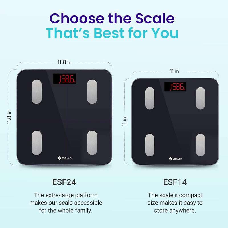 FitSmart Scale